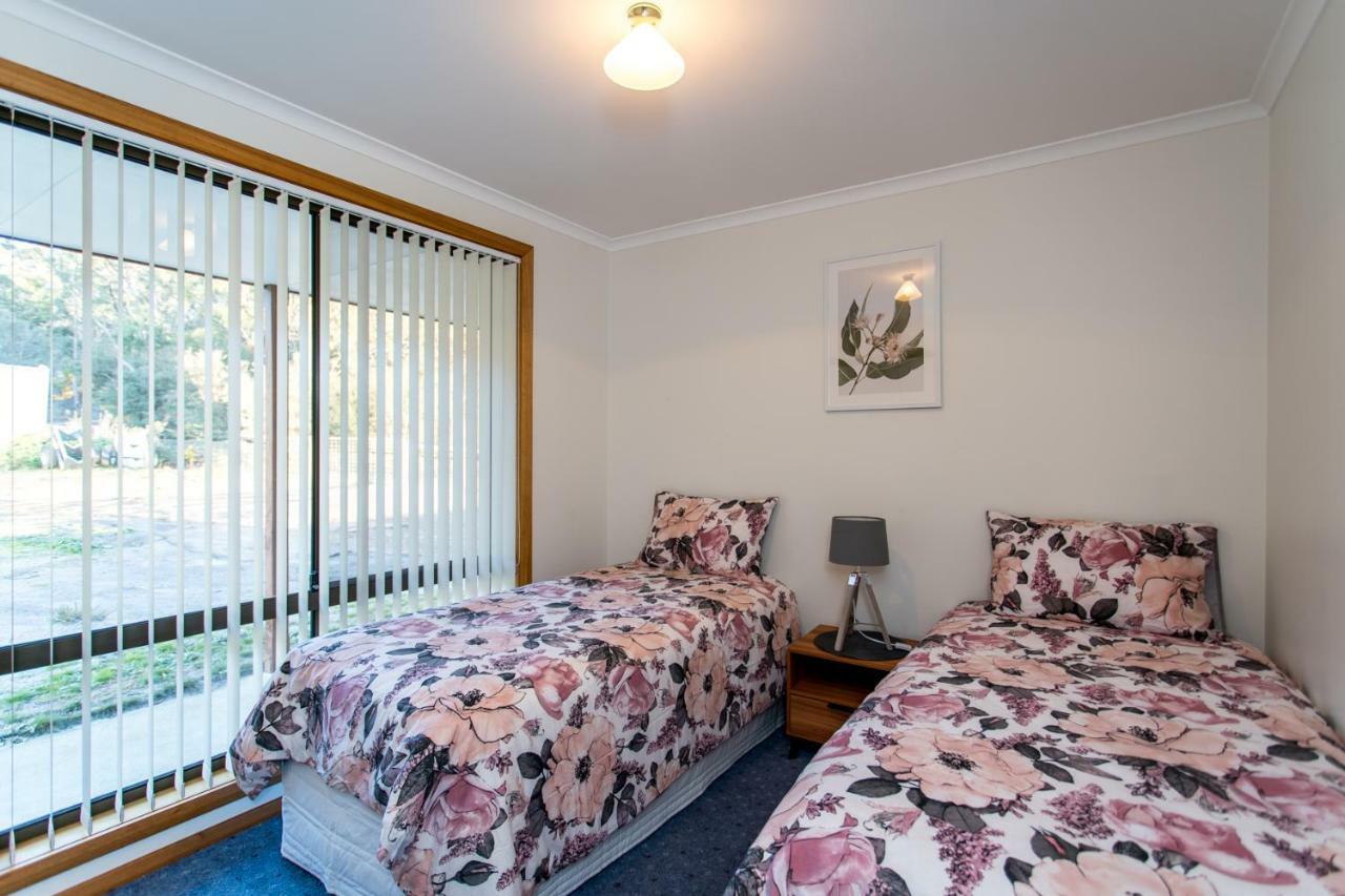Acton Park Holiday Units المظهر الخارجي الصورة